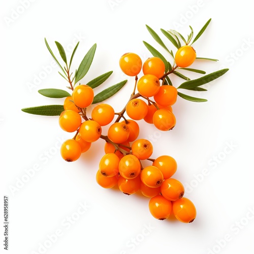 Fresh sea buckthorn isolated on white background