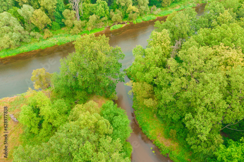 Teren porośnięty liściastym lasem. Pomiędzy drzewami widać ujście rzeki Czerna do rzeki Bóbr w pobliżu miasta Żagań w Polsce. Zdjęcie z drona.