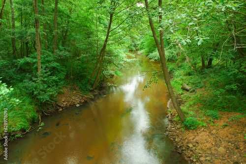 Gęsty, liściasty, zielony las. Pomiędzy drzewami płynie rzeka tocząc brązową wodę. Brzegi porośnięte są trawą. Rzeka jest nieuregulowana.