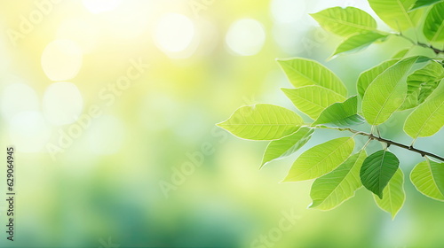 Nature of green leaf, greenery wallpaper