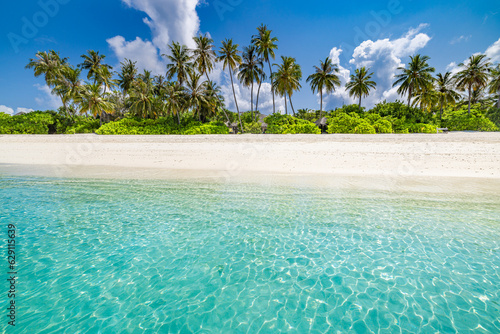 Beautiful tropical beach sea coast. White sand, palm trees, turquoise ocean and blue sky on sunny summer day. Serene landscape background for relaxing vacation. Maldives islands exotic travel paradise