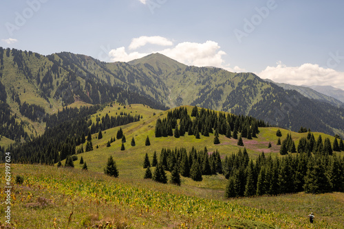 Mountain paths and views of the surroundings of the Almaty region, Kazakhstan. Pasture and plains, forests and open spaces