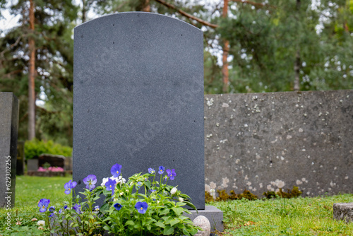 blank gravestone with other graves at cemetry. trees on back.