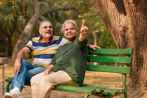 indian old couple discuss at park.