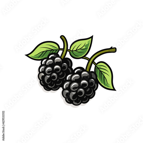 Blackberry. Blackberry hand-drawn comic illustration. Vector doodle style cartoon illustration.