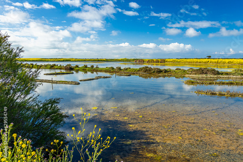 Mudflat of the natural reserve of Lilleau des Niges on the Ile de Ré island in France