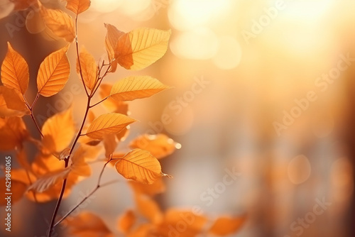 Beautiful autumn nature background with orange leaves on tree and blurry background with sunlight and bokeh