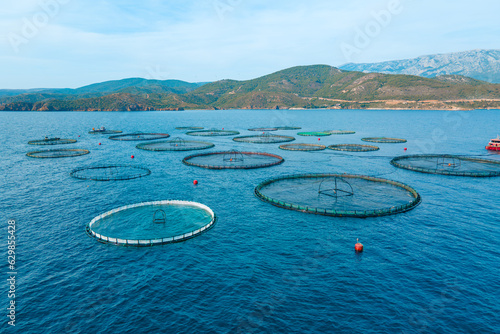 Offshore aquaculture in floating fish farming cages of fish farm in Aegean sea. Aerial shot