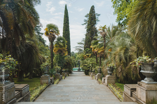 View of the alley with palm trees in the Upper Arboretum Park, Sochi, Adler, Krasnodar region, Russia