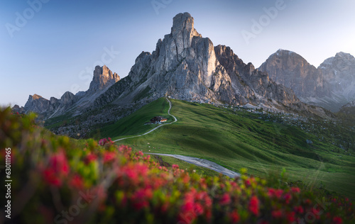 Stunning view of the Giau pass during a beautiful sunset. The Giau Pass is a high mountain pass in the Dolomites in the province of Belluno, Italy. Mountain landscape with blurred flowers in the foreg