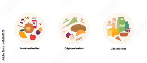 Healthcare dieting infographic collection. Vector flat food illustration. Low Fodmap diet. Foodplate of monosaccharide, oligosaccharide and disaccharide ingredients. Design for healthy eating