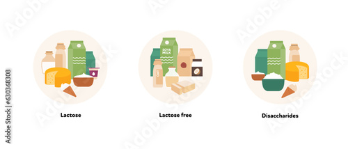 Healthcare dieting infographic collection. Vector flat food illustration. Low Fodmap diet. Foodplate of lactose, lactose free and disaccharide ingredients. Design for health care and healthy eating