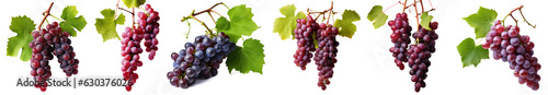 vine leaves and grapes. wine making red grapes on a branch with leaves isolated on transparent background
