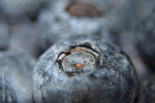 Close up of juicy, tasty blueberries. Extreme close up of fruit texture background.