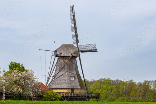 Hollicher Windmühle, Achteckholländer bei Steinfurt