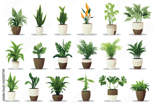 houseplant pot set vector flat minimalistic isolated illustration