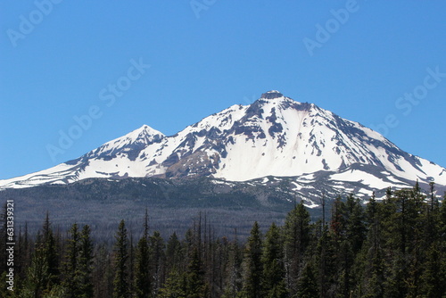 Snow Capped Mountain in Summer with National Forest Trees