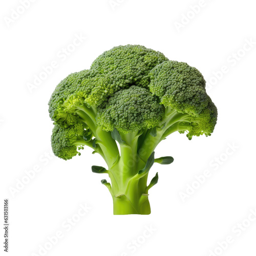 Closeup of broccoli isolated on white backround.