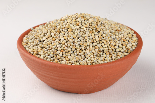 Pearl millet or Bajra is the most widely grown type of millet. The Millet was placed in a blue bowl 