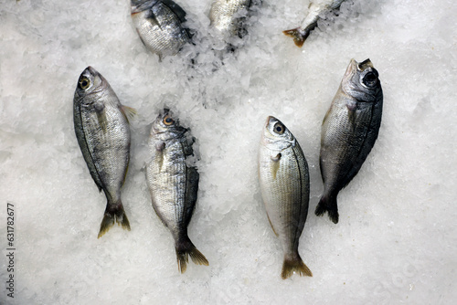 close up of a fresh fish on ice in the supermarket