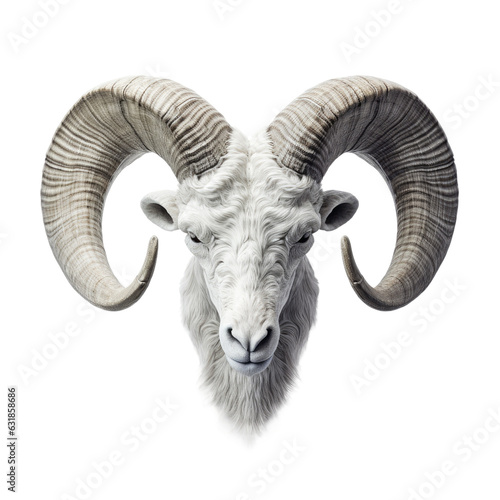 transparent backround with isolated ram horns