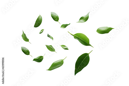Natural of Tropical green leaves of leaf isolated on clean png background, varies different of plant botanical, with Generative Ai.