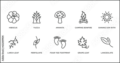 nature outline icons set. thin line icons such as amanita, camping bonfire, shining sun with rays, larch leaf, perfoliate, four toe footprint, grape leaf vector.