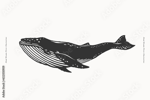 Monochrome hand-drawn image of a swimming whale. Ocean animal on a light background. Vector illustra􀆟on for your design.