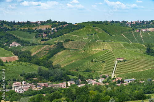 Hills of Oltrepo Pavese at June. Vineyards