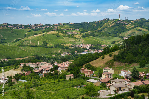 Hills of Oltrepo Pavese at June. Vineyards