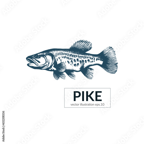Hand drawn Sketch Seafood Pike Fish with Inscription Vector Illustration
