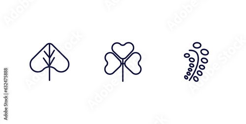 set of nature thin line icons. nature outline icons included linden leaf, trifoliate ternate, black willow vector.