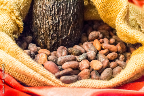 Raw Cocoa Beans and Pod in Burlap