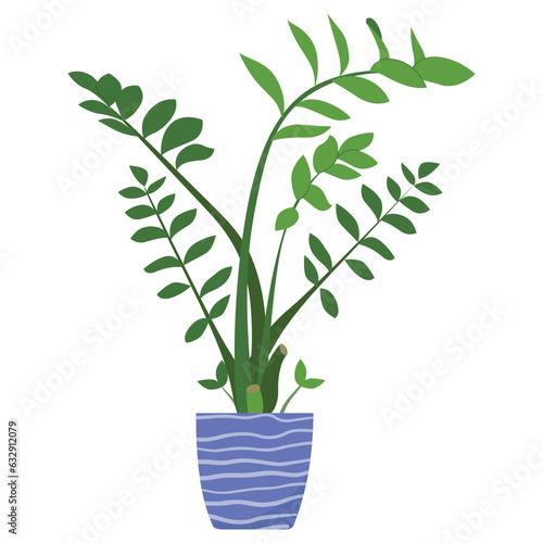 Potted Zamioculcas plant vector illustartion. Green-leaf houseplant isolated on white background. Indoor foliage decoration in flowerpot. Natural home decoration design element.