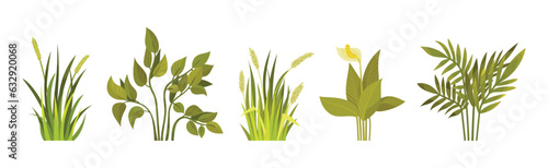 Green Bush with Leafy Stem as Outdoor Growth Vector Set