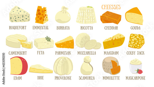 Big set of different types of cheese isolated on white background. Vector graphics.