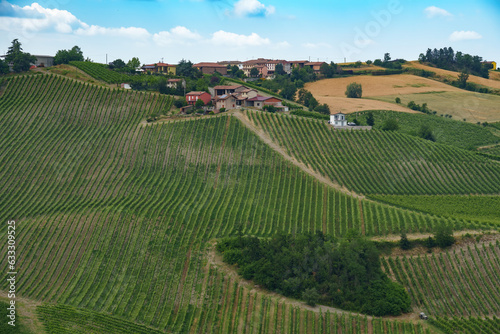 Hills of Oltrepo Pavese at June. Vineyards