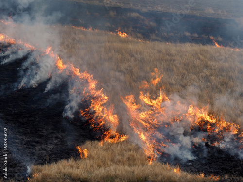 Burning fields of veld / grassland