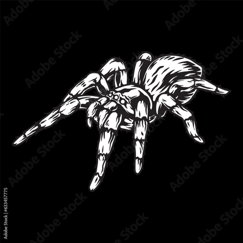 tarantulas vector art