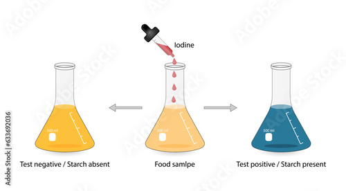 Iodine test for starch, chemical experiment. Carbohydrates in a sample of food or cosmetics. Test positive, dark blue, starch present. Biology, chemistry. Vector illustration.