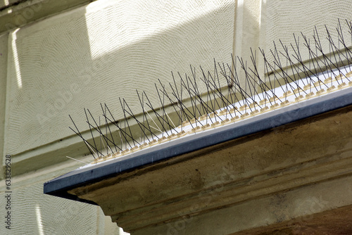 metal spike anti-roosting or bird prevention and repellent strip. bird control. old exterior stucco elevation detail. sharp needles. old European building detail and architecture. pigeon prevention