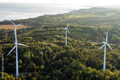 vue en hauteur d'un groupe d'éoliennes dans une forêt au bord du fleuve lors d'un matin ensoleillé