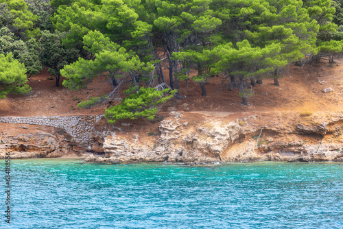 Hanging coniferous trees over the sea near the rocky structure, Blue sea and rocks, Red seascape