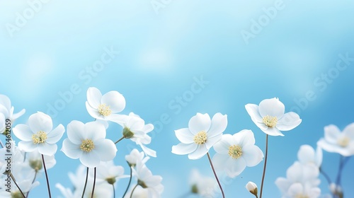 Generative AI : Spring forest white flowers primroses on a beautiful blue background macro. Blurred gentle sky-blue background. Floral nature background, free space for text. Romantic soft gentle arti