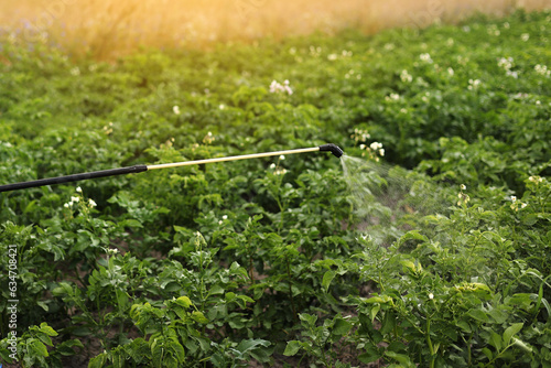 Spraying blooming potatoes plantation with pesticides by the professional sprayer. Agriculture fertilizer spraying insecticide. Agriculture and agribusiness. Harvest processing. Protection and care.