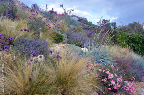 Colorful perennials