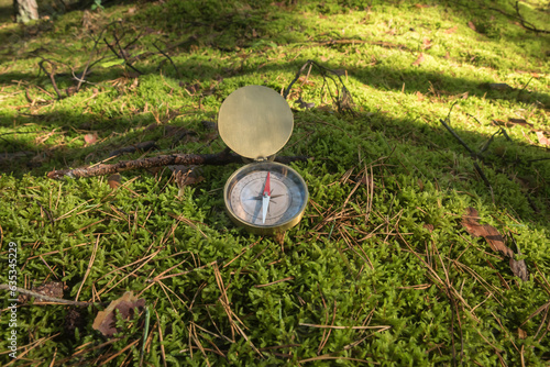 kompas wskazujący kierunki świata, leżący na mchu w lesie w promieniach słońca
