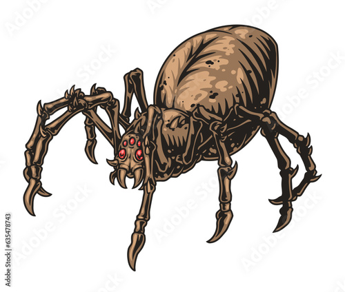 Scary spider tarantula colorful sticker