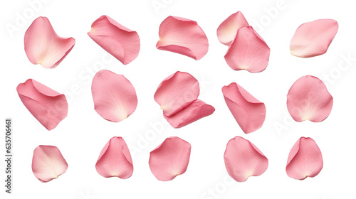 elegant collection of soft pink flower petals isolated on a transparent background, generative ai 