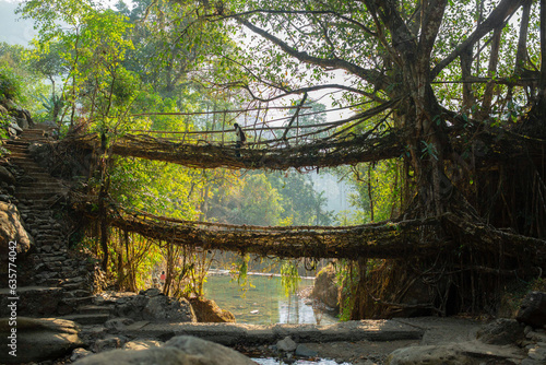 Meghalaya's iconic double-decker bridge, a masterpiece of nature's architecture.